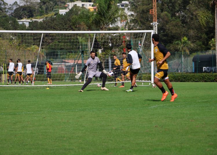 Categorias do São Paulo voltam a treinar em Cotia