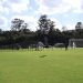Sub-15 e Sub-17 enfrentam Clube Vital; Sub-13 e Sub-14 encaram Votoraty